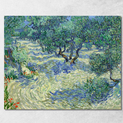 Frutteto Di Ulivi Vincent van Gogh vvg67 quadro stampato su tela