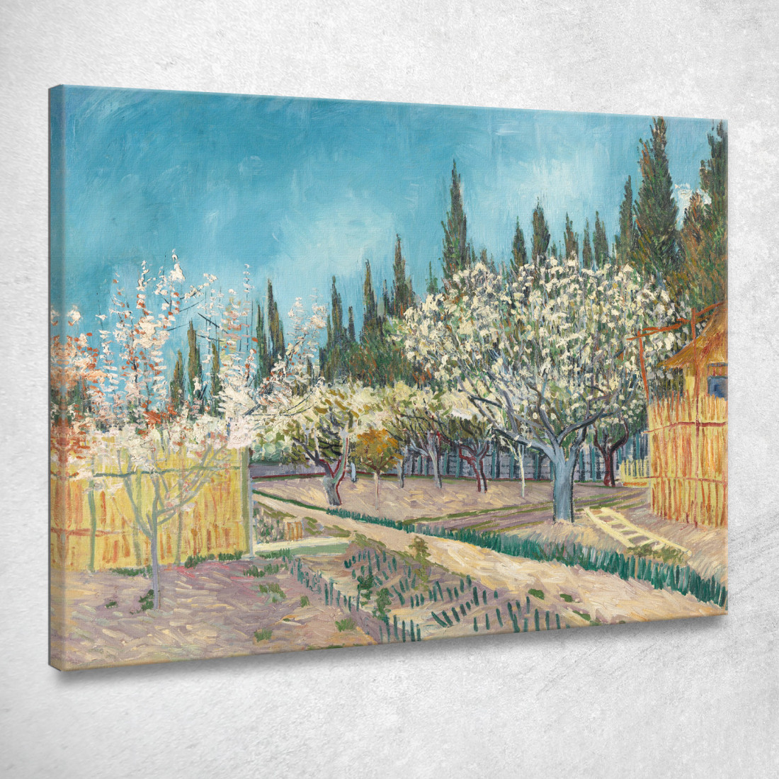 Frutteto In Fiore Delimitato Da Cipressi Vincent van Gogh vvg76 quadro stampato su tela