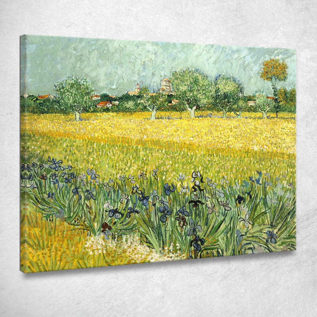 Campo Con Fiori Nei Pressi Di Arles Vincent van Gogh vvg124 quadro stampato su tela