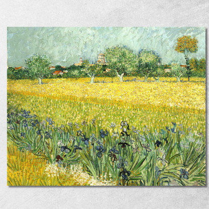 Campo Con Fiori Nei Pressi Di Arles Vincent van Gogh vvg124 quadro stampato su tela