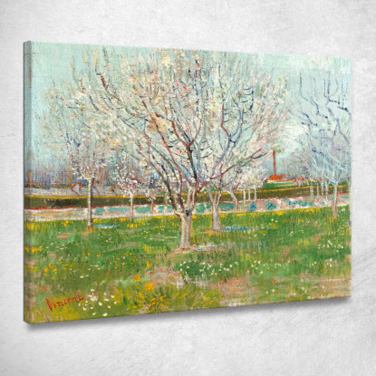 Frutteto In Fiore Albicocchi Vincent van Gogh vvg138 quadro stampato su tela