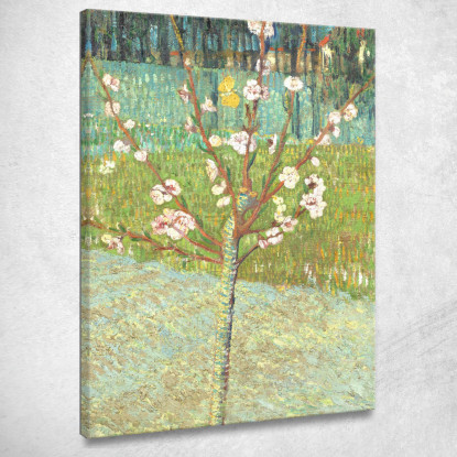 Pesco In Fiore Vincent van Gogh vvg139 quadro stampato su tela