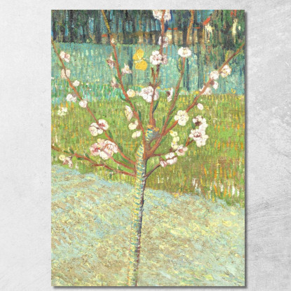 Pesco In Fiore Vincent van Gogh vvg139 quadro stampato su tela