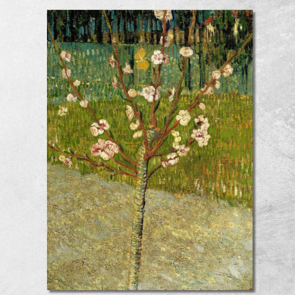 Mandorlo In Fiore Vincent van Gogh vvg190 quadro stampato su tela