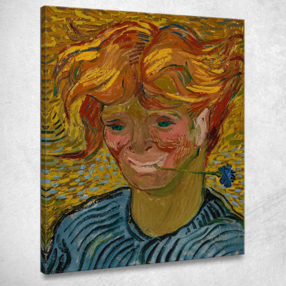 Giovane Con Fiordaliso Vincent van Gogh vvg228 quadro stampato su tela