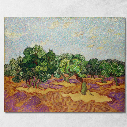 Olivi 2 Vincent van Gogh vvg248 quadro stampato su tela