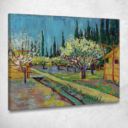 Frutteto Delimitato Da Cipressi Vincent van Gogh vvg250 quadro stampato su tela