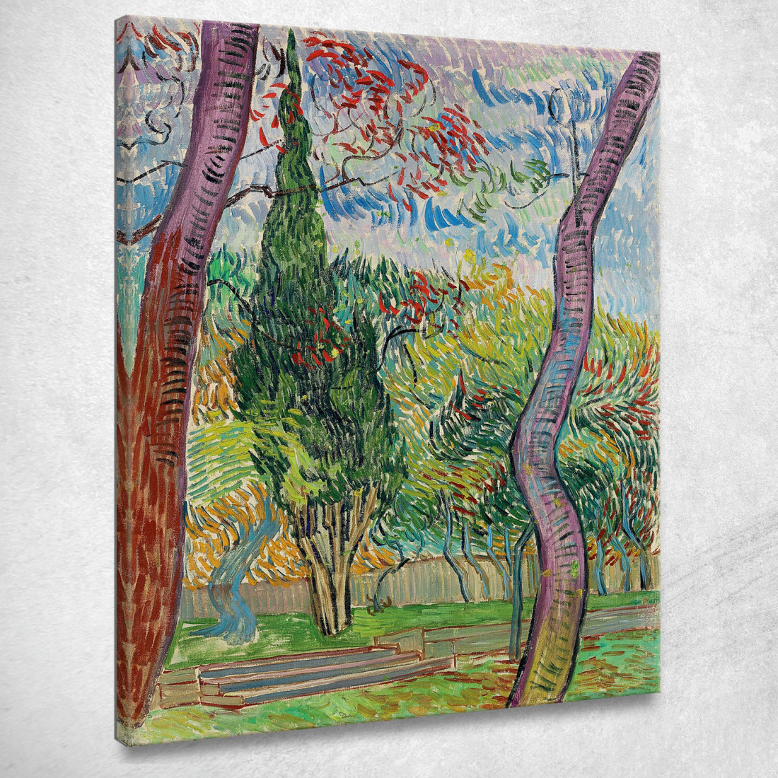 Parco Dell'Ospedale Saint-Paul Vincent van Gogh vvg252 quadro stampato su tela Parco Dell'Ospedale Saint-Paul Vincent van Gogh vvg252 quadro stampato su tela