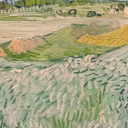 Pianura Vicino Ad Auvers Vincent van Gogh vvg256 quadro stampato su tela