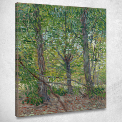 Alberi Vincent van Gogh vvg303 quadro stampato su tela