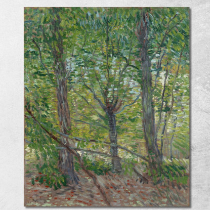 Alberi Vincent van Gogh vvg303 quadro stampato su tela