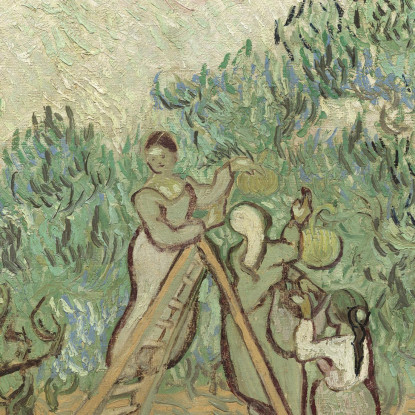 L'Oliveto 1889 Vincent van Gogh vvg329 quadro stampato su tela