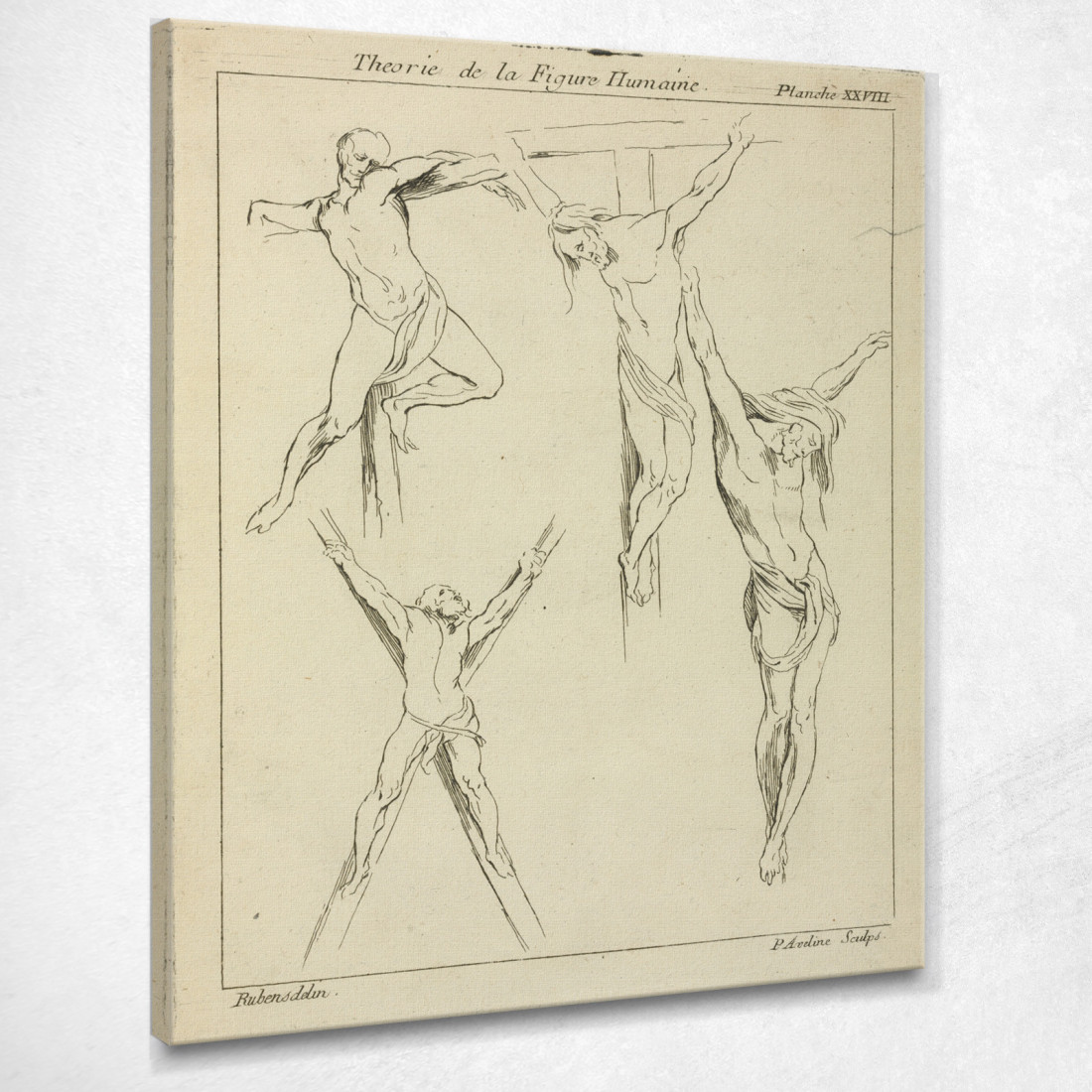 Quattro Studi Di Figure Crocifisse Peter Paul Rubens ppr77 quadro stampato su tela Quattro Studi Di Figure Crocifisse Peter Paul Rubens ppr77 quadro stampato su tela