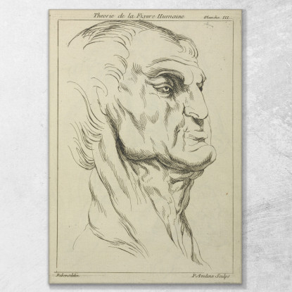 Testa D'Uomo Peter Paul Rubens ppr82 quadro stampato su tela