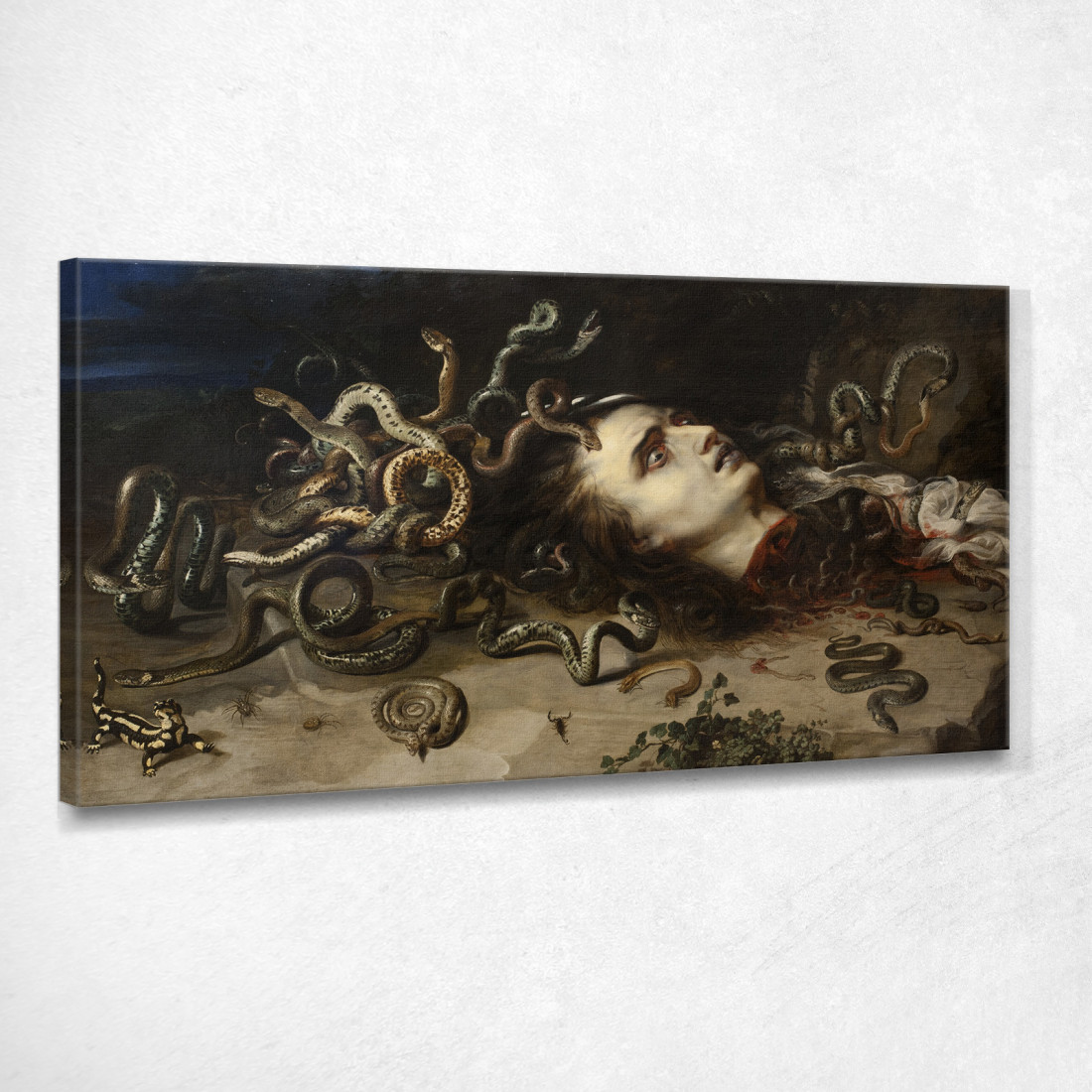 Testa Di Medusa Peter Paul Rubens ppr84 quadro stampato su tela Testa Di Medusa Peter Paul Rubens ppr84 quadro stampato su tela