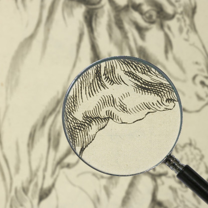 Teste E Colli Di Due Tori Di Profilo Peter Paul Rubens ppr88 quadro stampato su tela