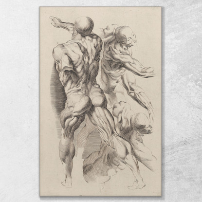 Studio Di Due Uomini Nudi Peter Paul Rubens ppr198 quadro stampato su tela