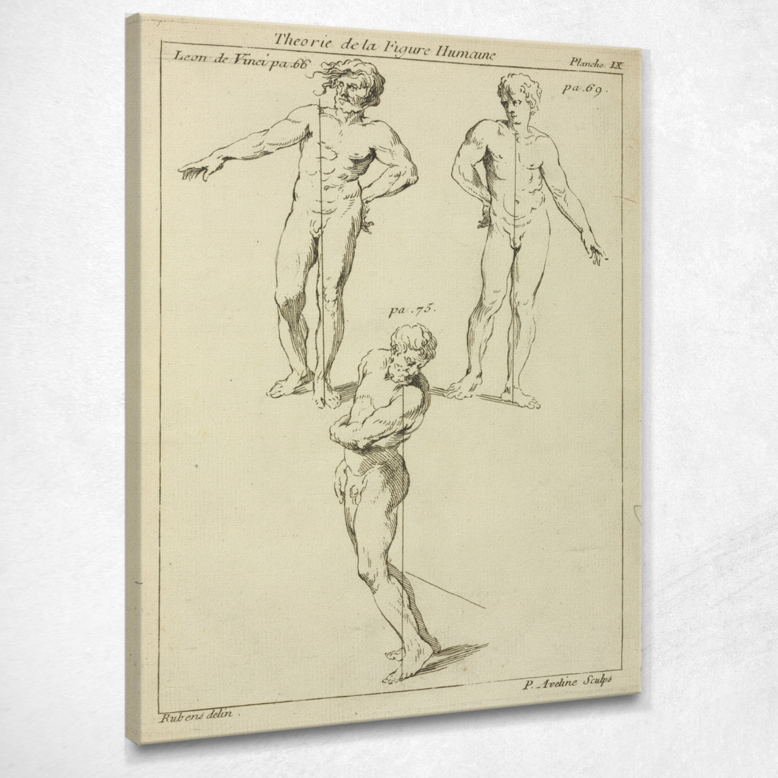 Tre Studi Di Figure Maschili Peter Paul Rubens ppr300 quadro stampato su tela Tre Studi Di Figure Maschili Peter Paul Rubens ppr300 quadro stampato su tela
