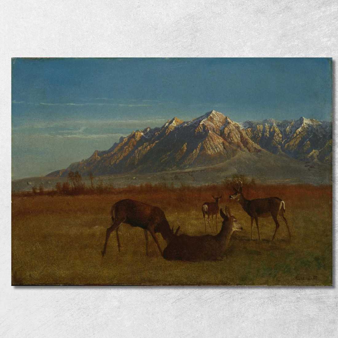 Cervi Nella Casa Di Montagna Albert Bierstadt abr19 quadro stampato su tela Cervi Nella Casa Di Montagna Albert Bierstadt abr19 quadro stampato su tela
