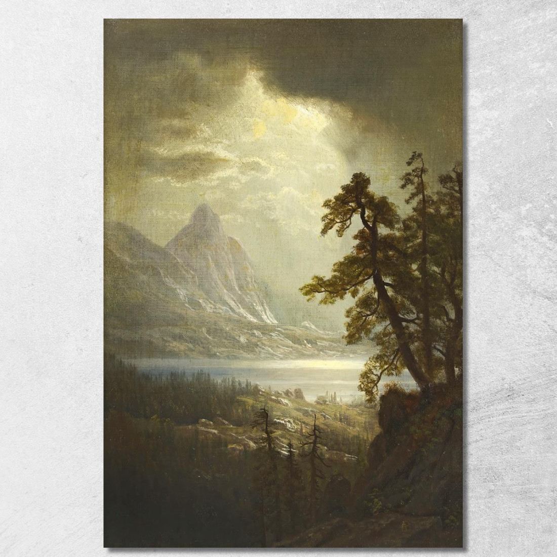 Estes Park Mattina Colorado Albert Bierstadt abr21 quadro stampato su tela Estes Park Mattina Colorado Albert Bierstadt abr21 quadro stampato su tela