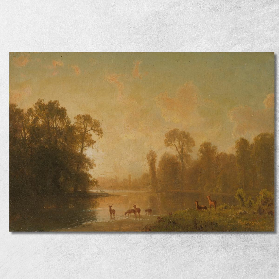 Crepuscolo Con Cervi Albert Bierstadt abr118 quadro stampato su tela Crepuscolo Con Cervi Albert Bierstadt abr118 quadro stampato su tela