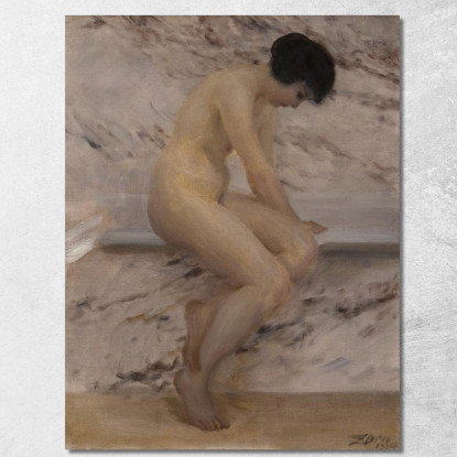 Alla Vasca Da Bagno Anders Zorn azn5 quadro stampato su tela