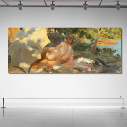 Bagnante Con Ombrellone Dalarö Anders Zorn azn7 quadro stampato su tela