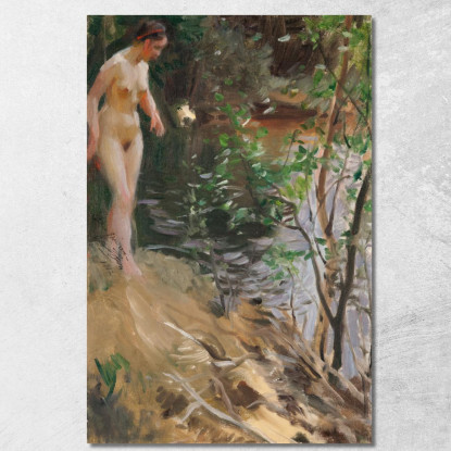 Modello A Riva Anders Zorn azn45 quadro stampato su tela