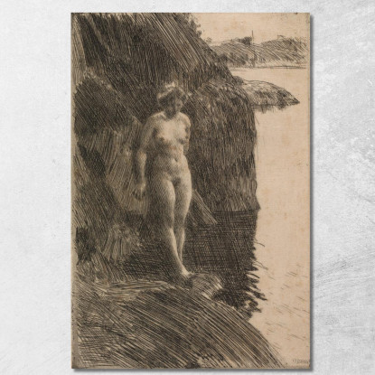 Precipizio Anders Zorn azn63 quadro stampato su tela