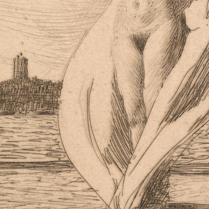 Il Cigno Anders Zorn azn75 quadro stampato su tela