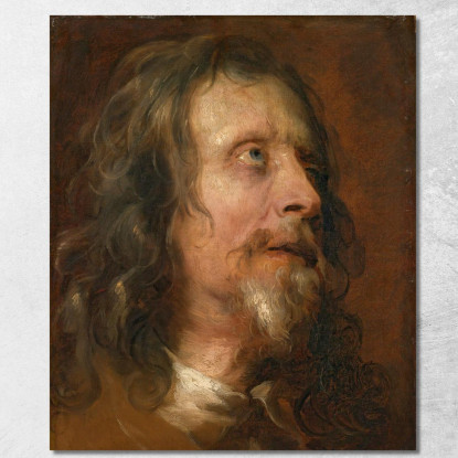 Studio Del Ritratto Di Un Uomo Barbuto Anthony van Dyck avd89 quadro stampato su tela