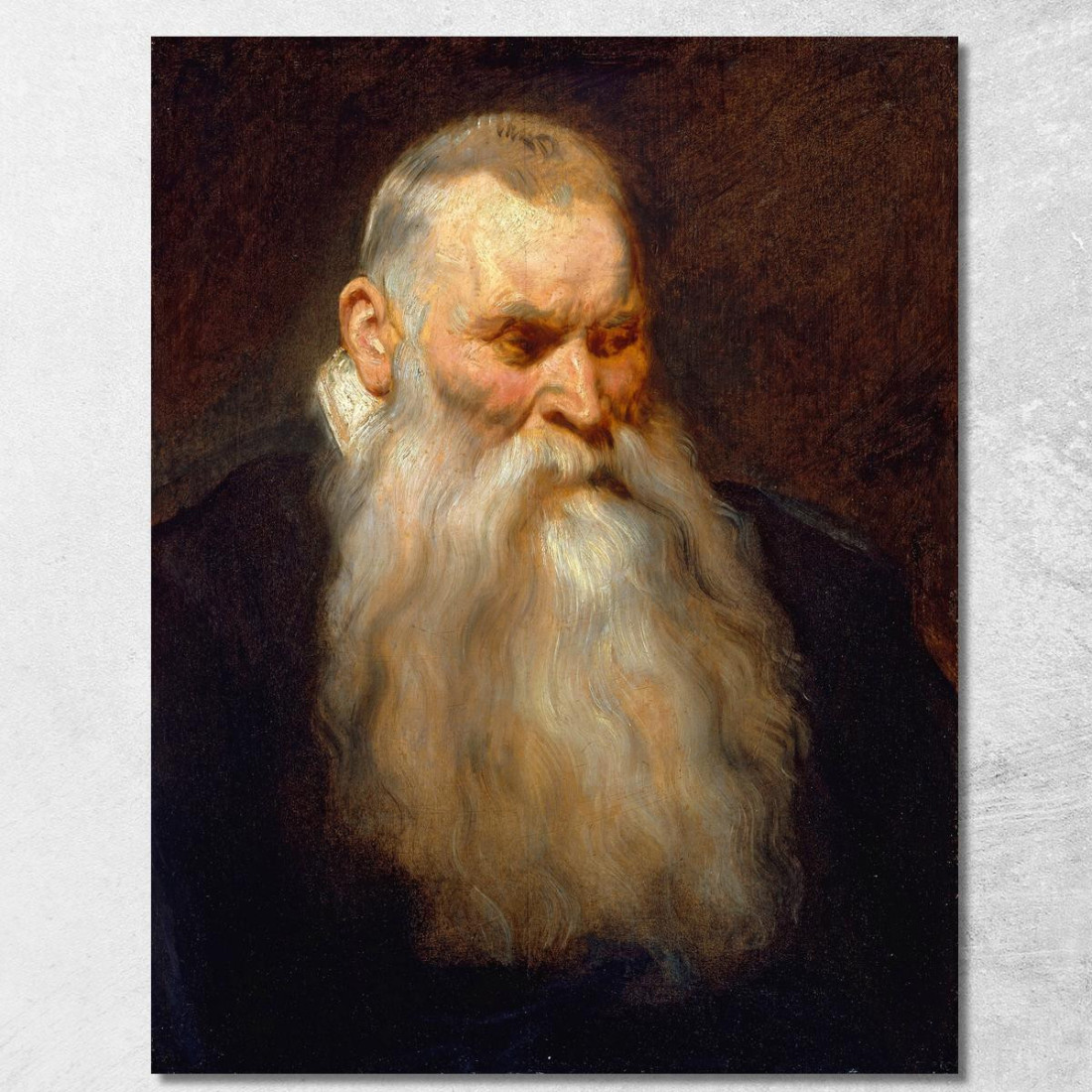 Testa Di Studio Di Un Vecchio Con La Barba Bianca Anthony van Dyck avd106 quadro stampato su tela Testa Di Studio Di Un Vecchio Con La Barba Bianca Anthony van Dyck avd106 quadro stampato su tela