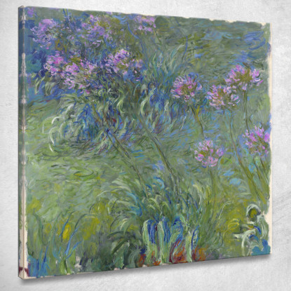 Fiori Di Agapanto Claude Monet mnt2 quadro stampato su tela