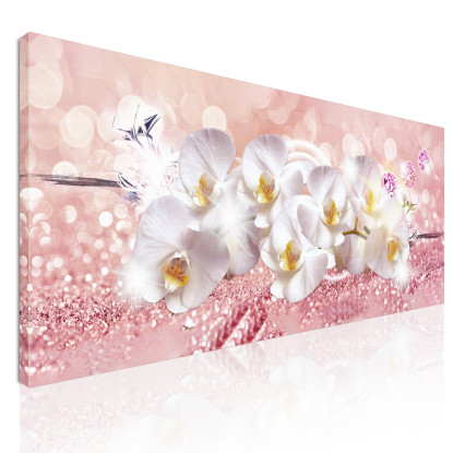 Quadro Botanico Fiori Di Orchidea Bianca Su Sfondo Rosa bow16 quadro stampato su tela