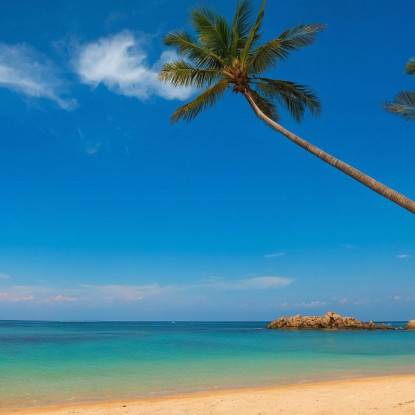 Quadro Paesaggio Mare Spiagge Tropicali Con Palme Mare Azzurro E Cielo Limpido seal33 quadro stampato su tela