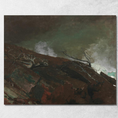 Côte Du Maine Winslow Homer tableau impression sur toile