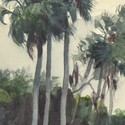 Camicia Rossa Homosassa Florida Winslow Homer quadro stampato su tela