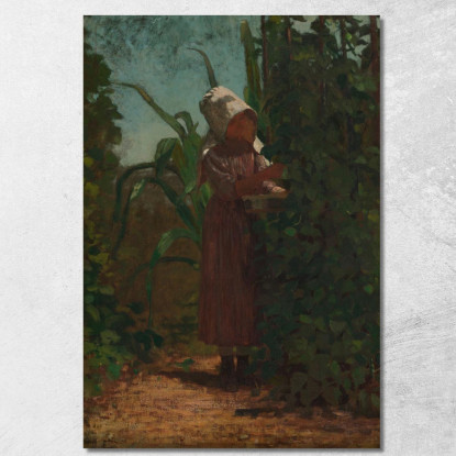 Der Bohnenpflücker Winslow Homer drucken auf leinwand