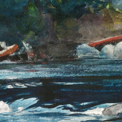 Le Rapide Del Fiume Hudson Adirondacks Winslow Homer quadro stampato su tela