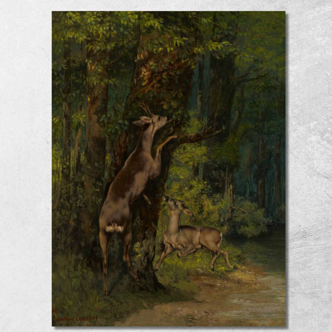Cervi Nella Foresta Gustave Courbet cg59 quadro stampato su tela Cervi Nella Foresta Gustave Courbet cg59 quadro stampato su tela