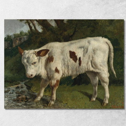 Il Vitello Bianco Gustave Courbet cg102 quadro stampato su tela