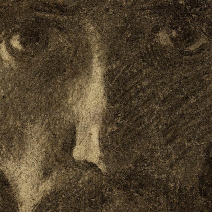 Ritratto Dell'Artista Léon Bonnat lbn22 quadro stampato su tela