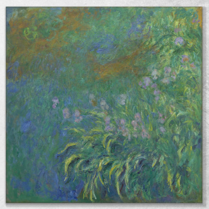 Iris Claude Monet mnt254 quadro stampato su tela