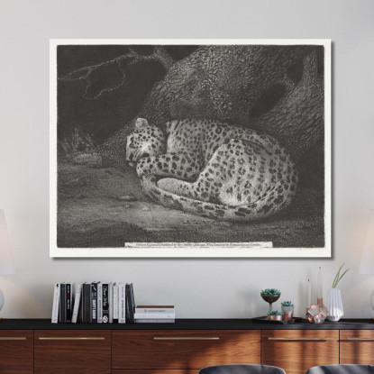 Un Leopardo Dormiente 1791 George Stubbs gst6 quadro stampato su tela