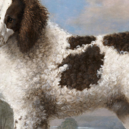 Norfolk Marrone E Bianco O Water Spaniel 1778 George Stubbs gst10 quadro stampato su tela