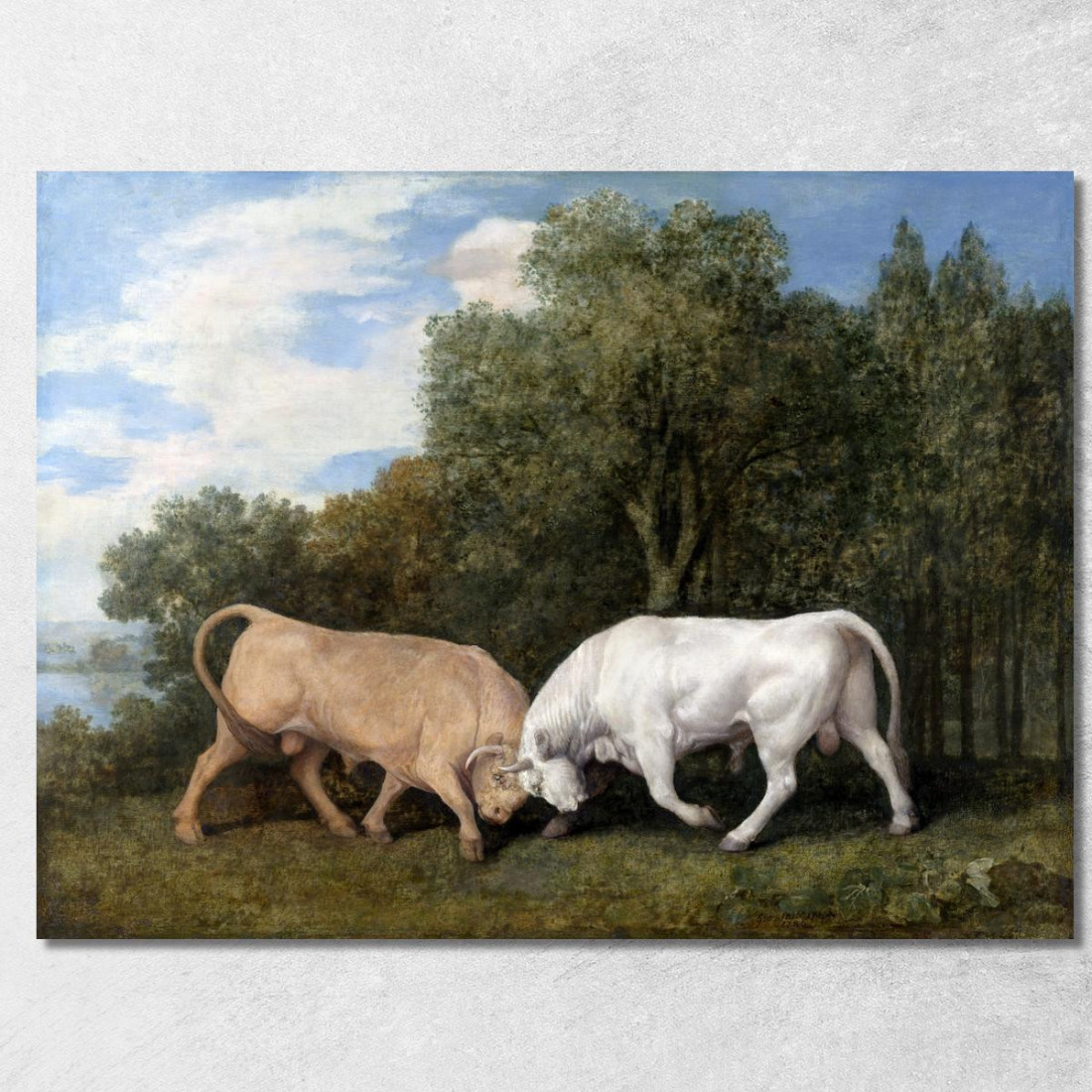 Tori Che Combattono 1786 George Stubbs gst11 quadro stampato su tela Tori Che Combattono 1786 George Stubbs gst11 quadro stampato su tela