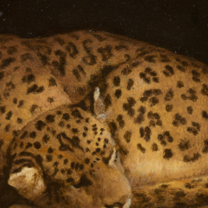 Leopardo Addormentato George Stubbs gst37 quadro stampato su tela