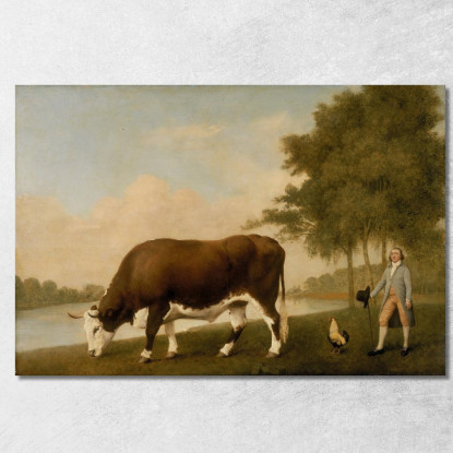 Il Bue Del Lincolnshire George Stubbs gst41 quadro stampato su tela