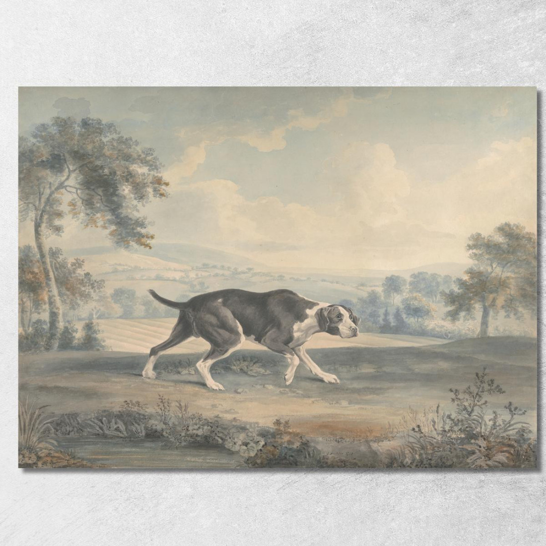 Il Puntatore Spagnolo George Stubbs gst43 quadro stampato su tela Il Puntatore Spagnolo George Stubbs gst43 quadro stampato su tela