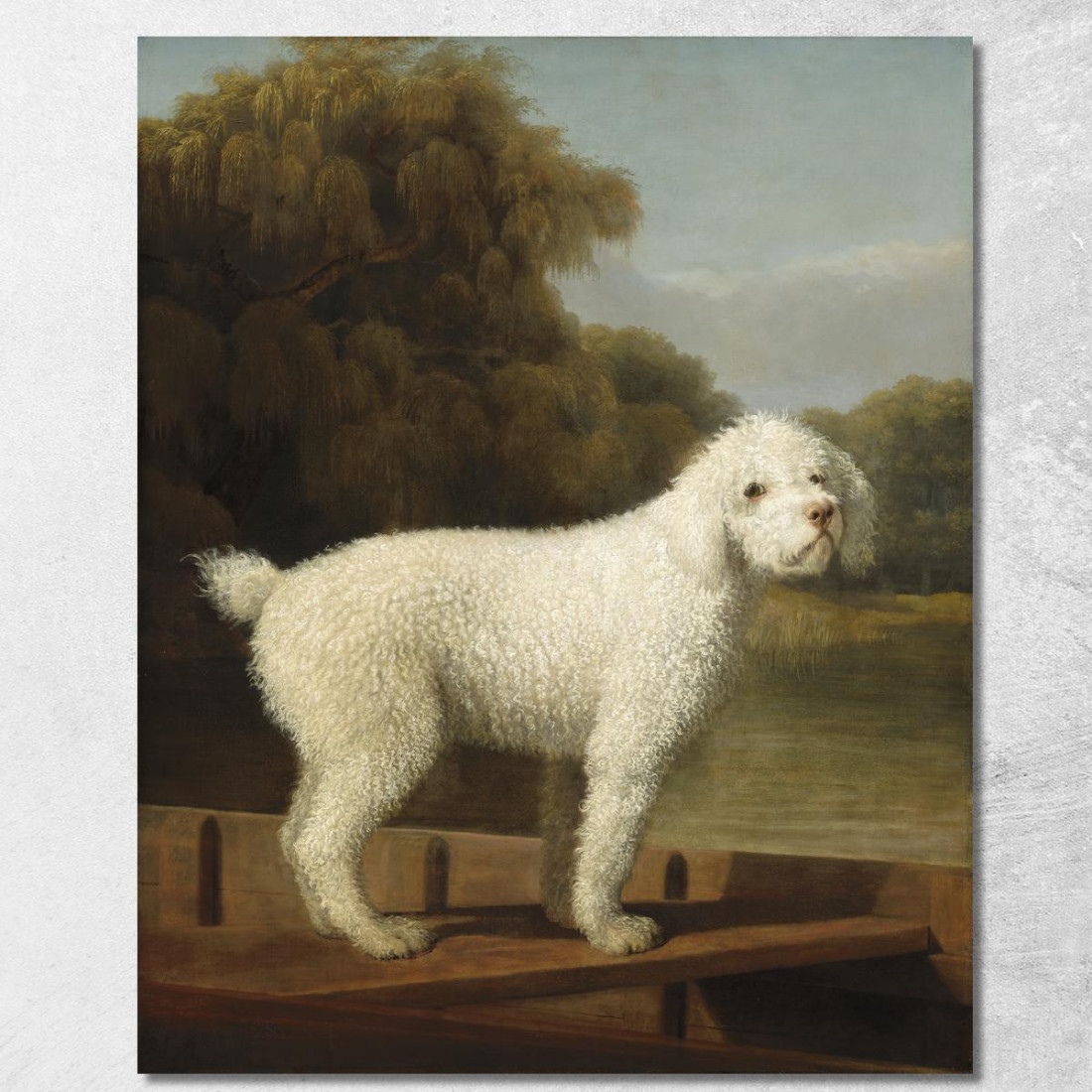 Barboncino Bianco In Un Barchino George Stubbs gst56 quadro stampato su tela Barboncino Bianco In Un Barchino George Stubbs gst56 quadro stampato su tela